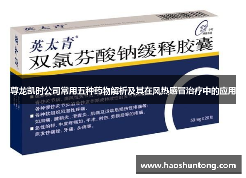 尊龙凯时公司常用五种药物解析及其在风热感冒治疗中的应用