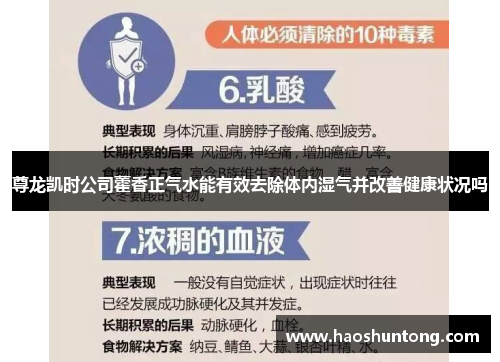 尊龙凯时公司藿香正气水能有效去除体内湿气并改善健康状况吗