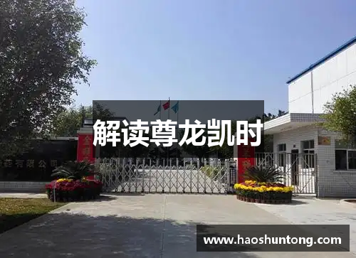 解读尊龙凯时